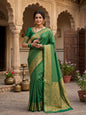 Party wear sample